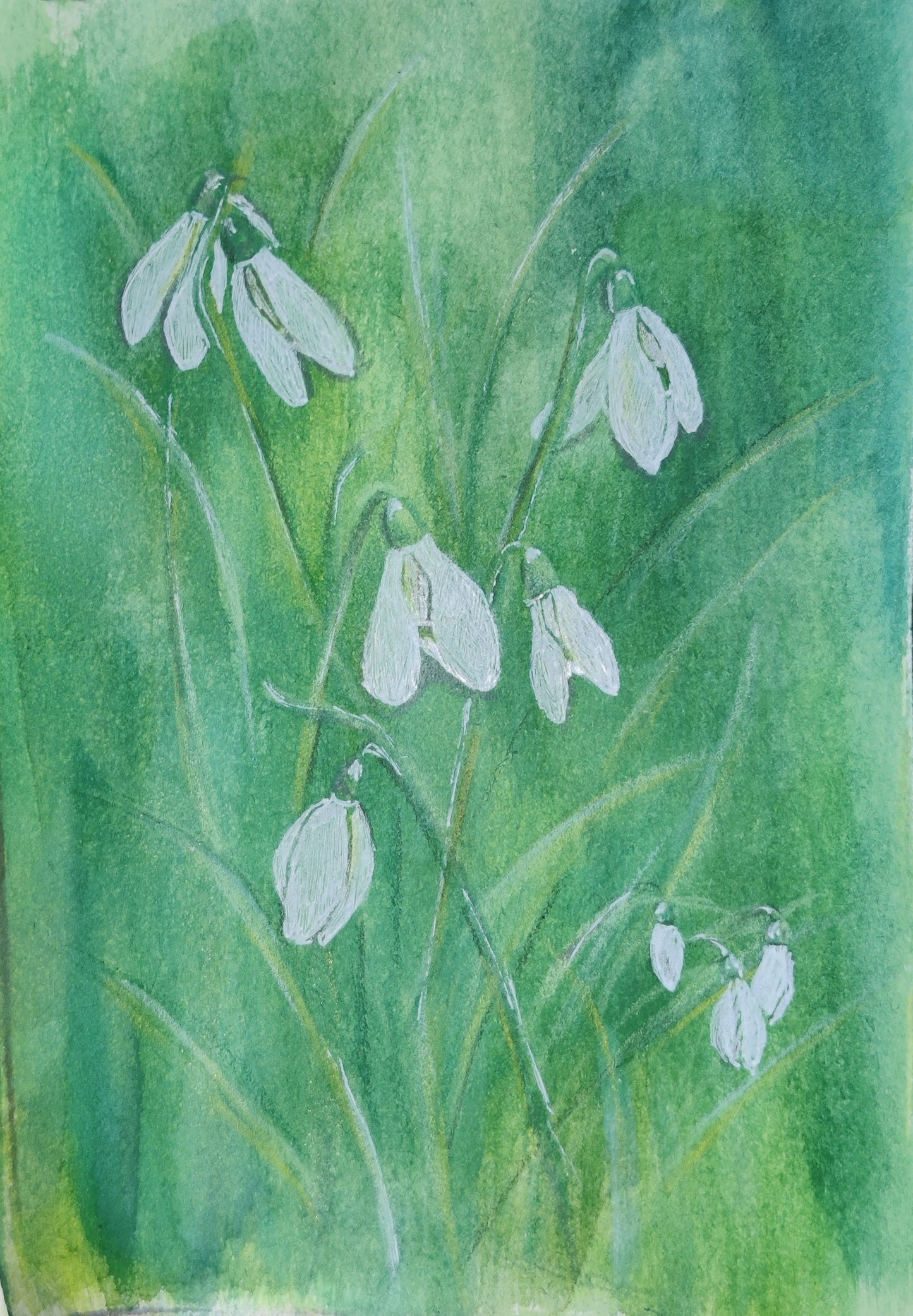 postcard sneeuwklokjes groen